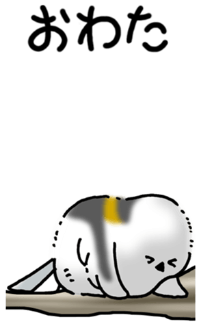 480521681