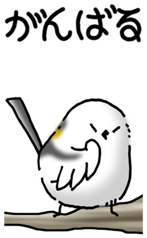 480521695