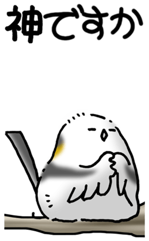 480521708