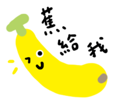 480526844