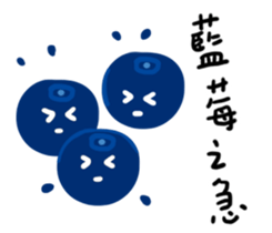 480526845