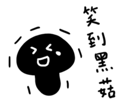480526848