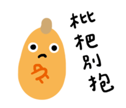 480526852