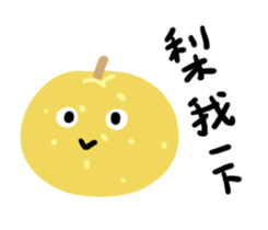 480526853