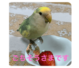 480532639