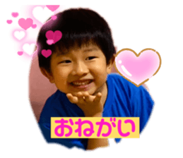 480545050