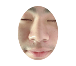 480567187