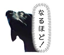 480584872