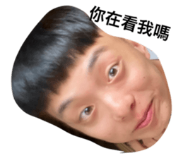 480585501