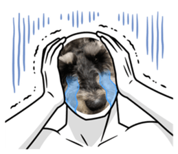 480589944