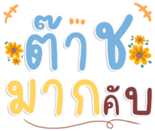 480592096