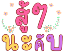 480592628