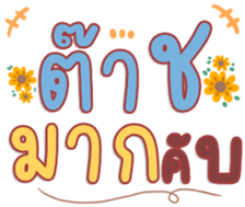 480592632