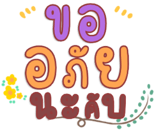 480592646