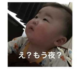 480593550