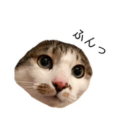 480609615
