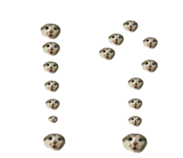 480609628