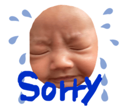 480632464