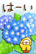 480666320