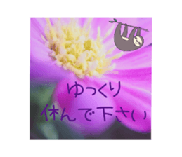 480668444