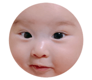 480669441