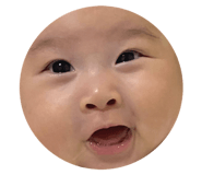 480669444