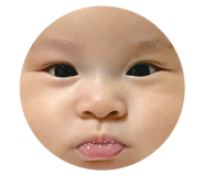480669446