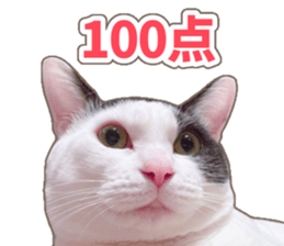 480671826