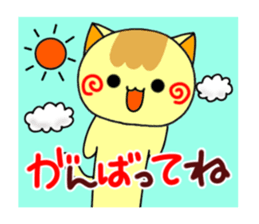 48070914