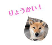 480785650