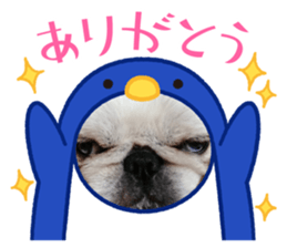 480832365