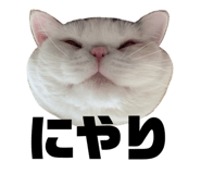 480839125