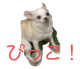 480858377