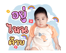 480865245