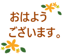480913576