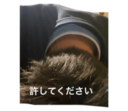 480915216