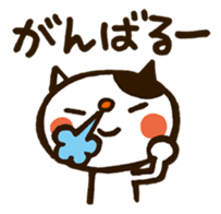 4809507