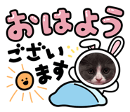 481016687