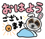 481016693