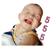 481070336