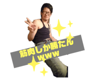 481098098