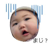 481109025