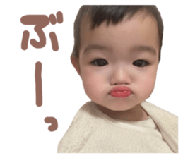 481112529