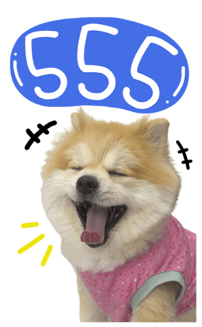 481122670