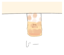 481125057