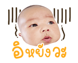 481126317