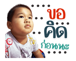 481131261