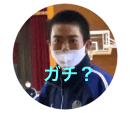 481132550