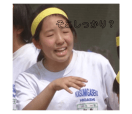 481133224