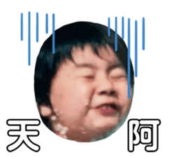 481138054